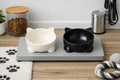 Elevated Tilted Cat Bowl set.